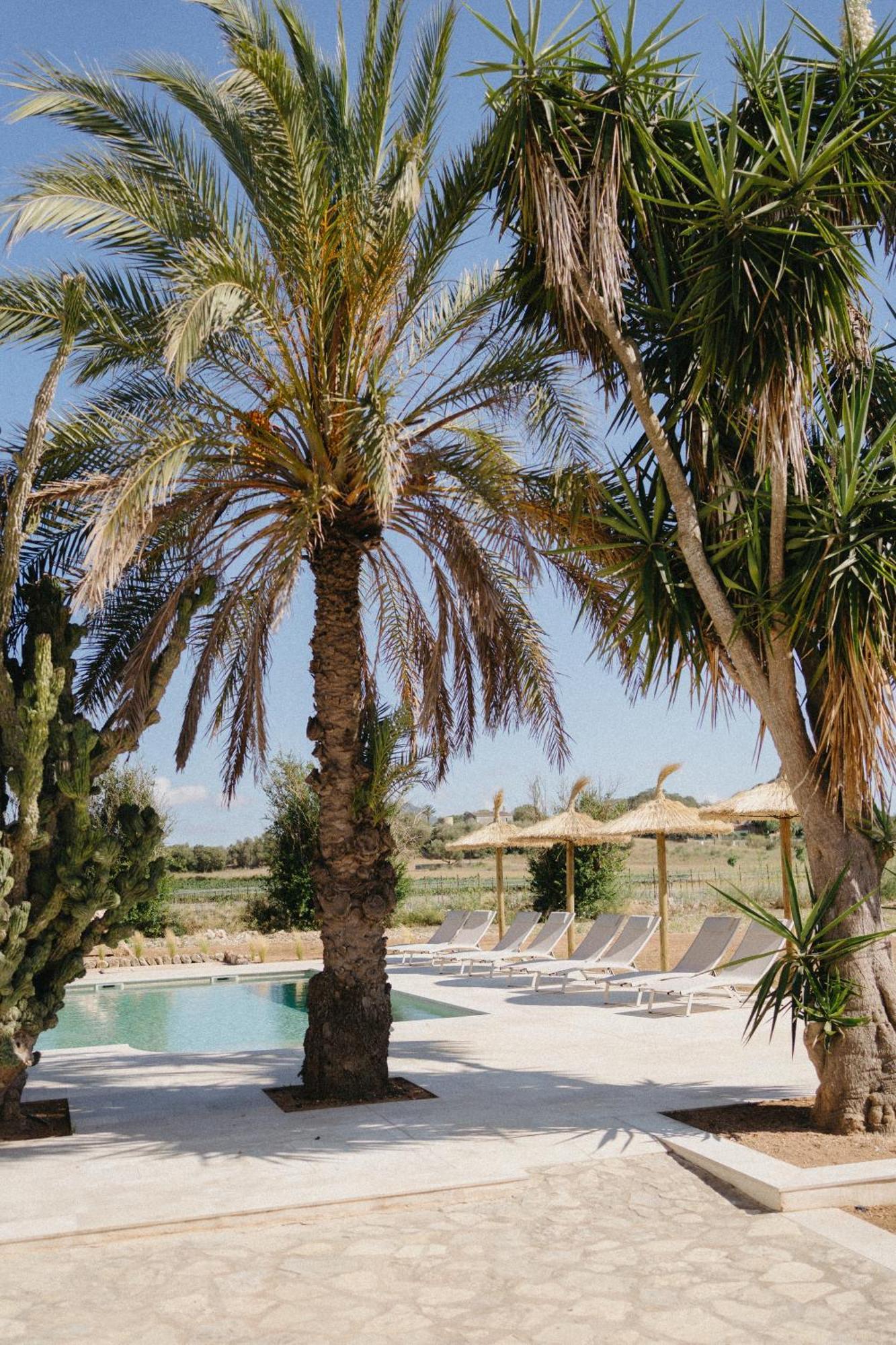 Vino Resort Son Amaret 松马西亚 外观 照片