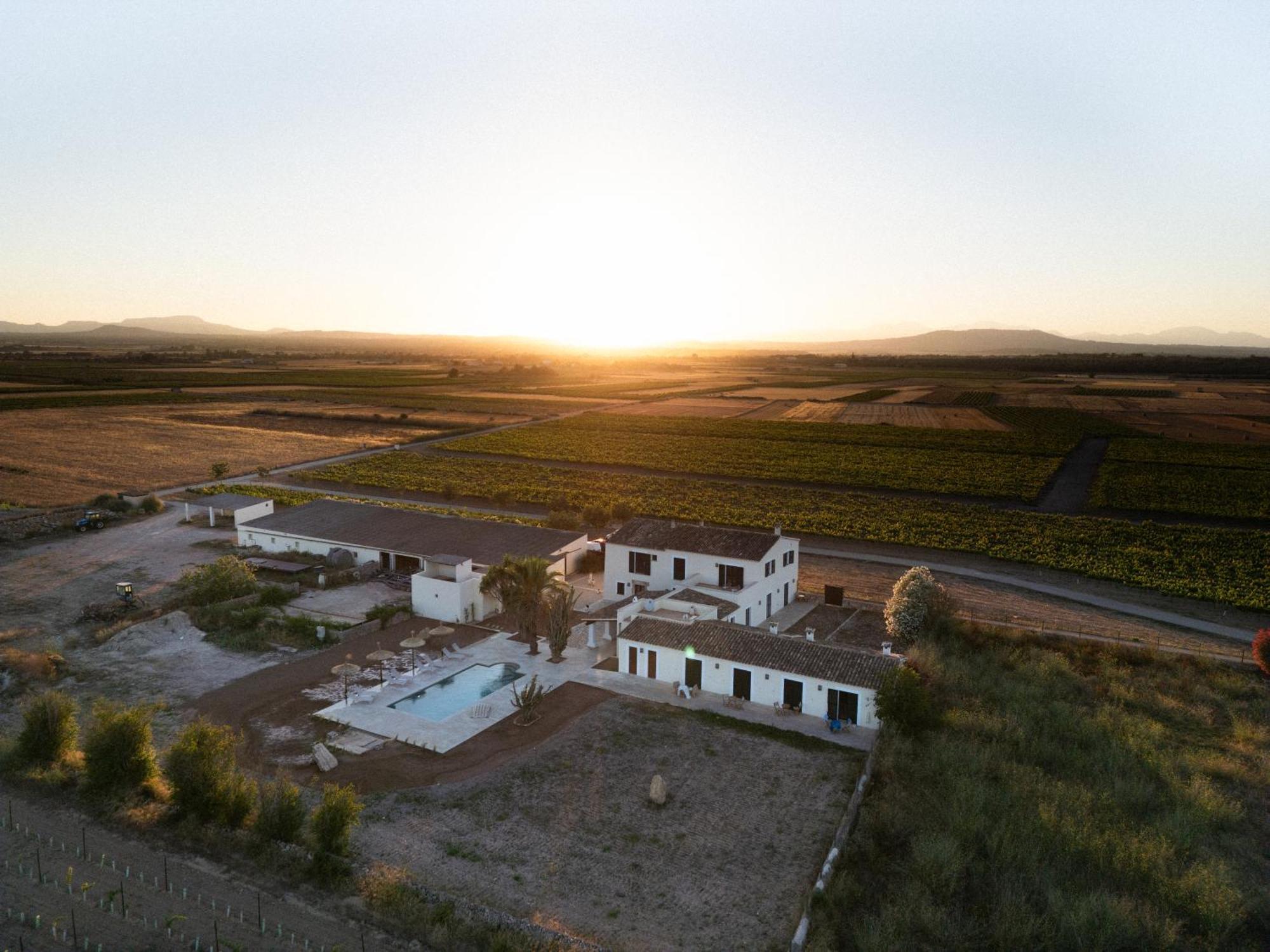 Vino Resort Son Amaret 松马西亚 外观 照片