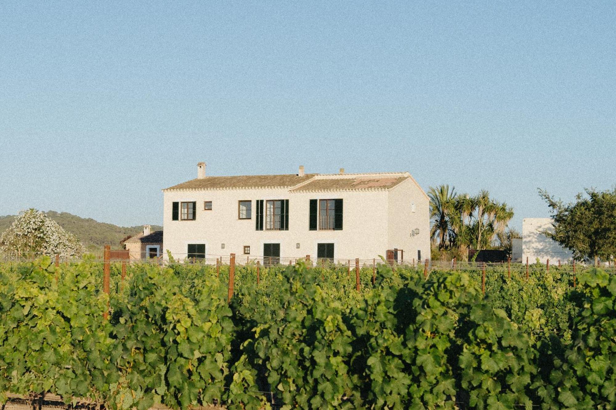Vino Resort Son Amaret 松马西亚 外观 照片